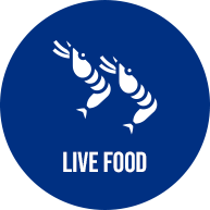 Live Food